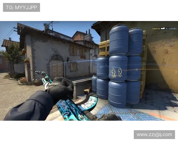 赵芳的CSGO人生：从新手到职业选手的深度对话与成长历程