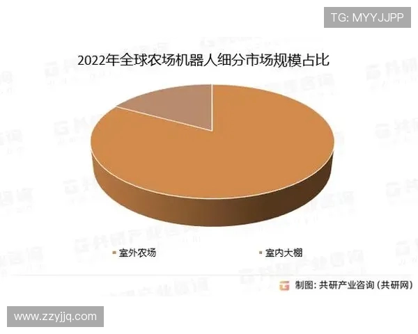 全球主要足球联赛竞争格局与未来发展趋势深度分析